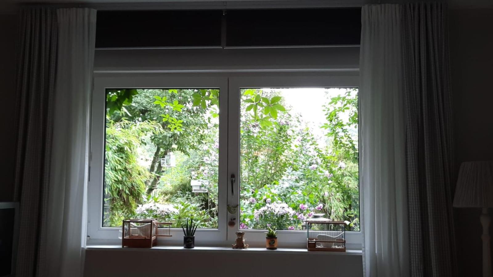 Ferienwohnung Hering In Dill Ngoại thất bức ảnh